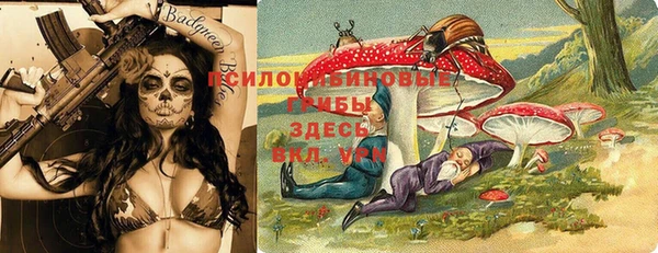 дурь Верхний Тагил