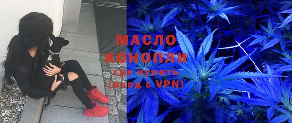 сатива Осташков