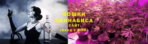 сатива Осташков