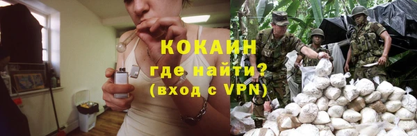 сатива Осташков