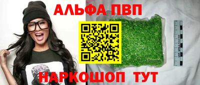 гашик Гусев