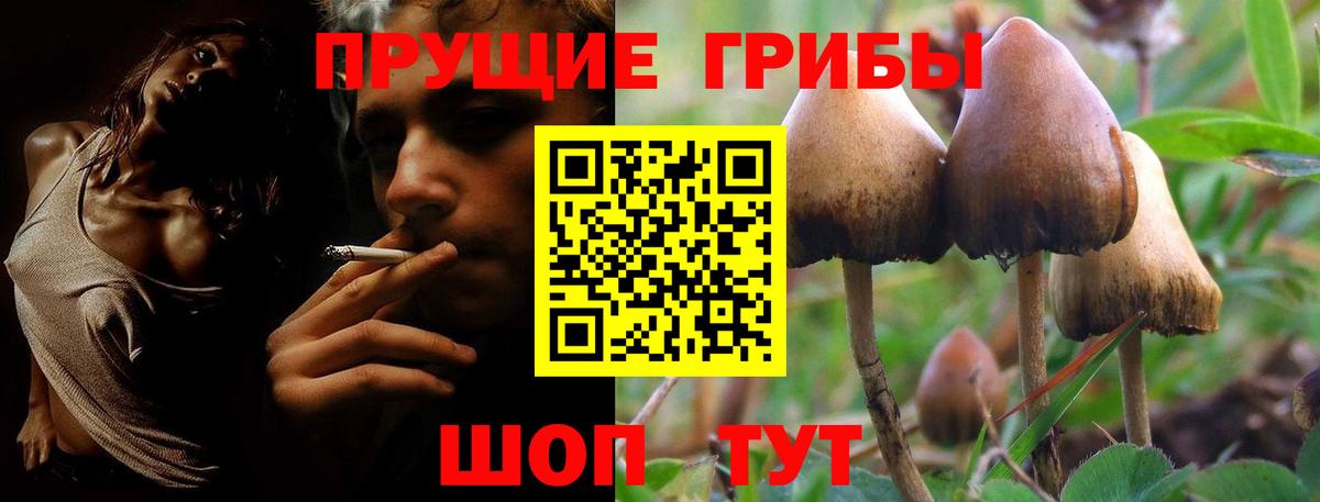 Канабис Павлово