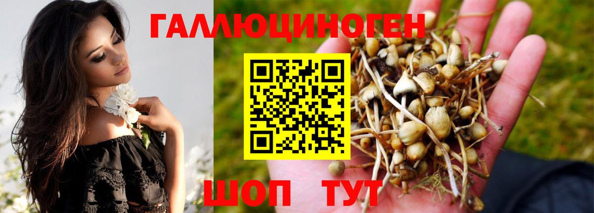 Галлюциногенные грибы мицелий  Вход с VPN  Павлово  Псилоцибиновые грибы Psilocybine cubensis 