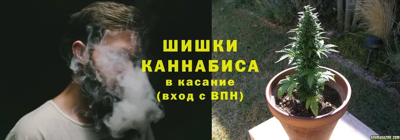 Конопля OG Kush  Павлово 