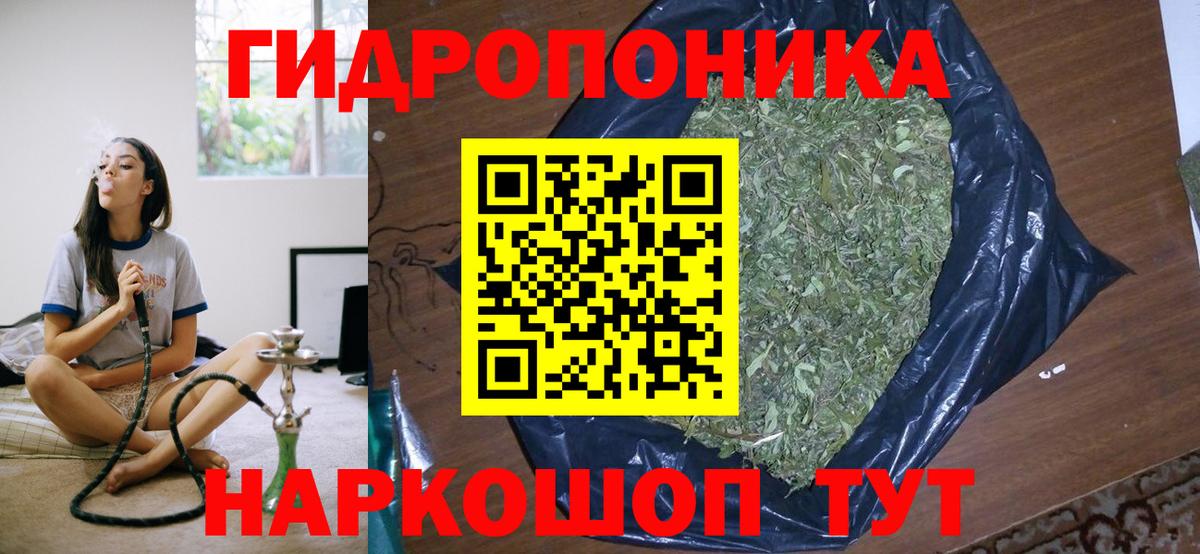 Каннабис сатива Павлово